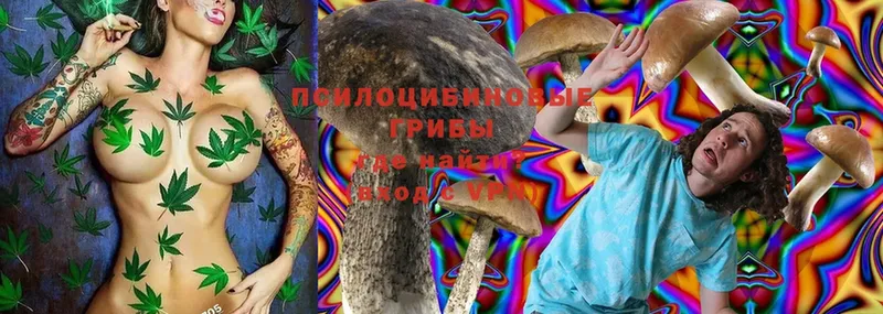 Псилоцибиновые грибы Magic Shrooms  Северск 